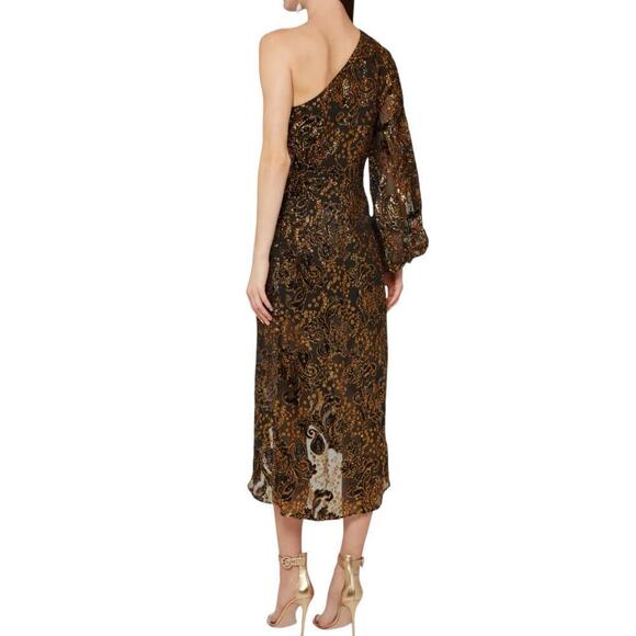 Hemant & Nandita Inara Flocked Lurex Chiffon Midi Dress In Gold Size XS - Picture 9 of 14